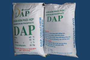 DAP