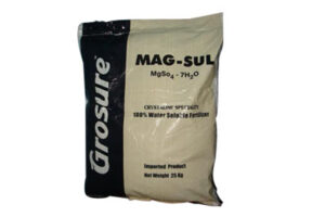 Magnesium sulfate