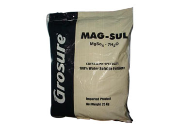 Magnesium sulfate